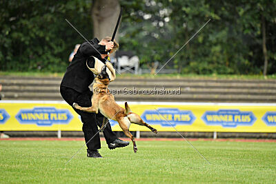 Stylish Motion`s Apple